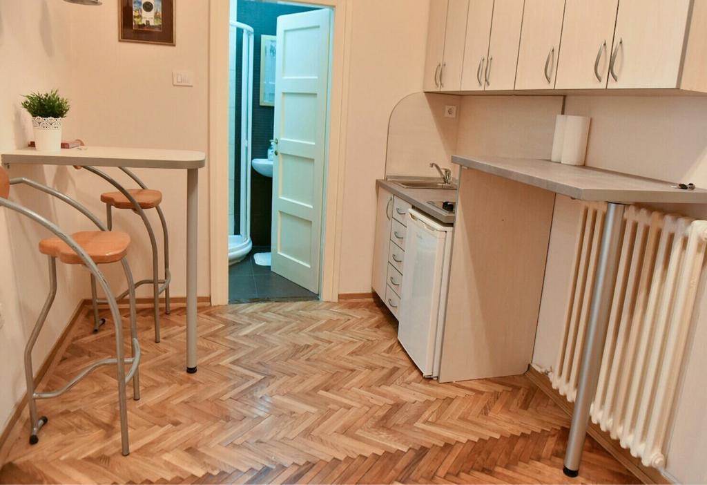 Bojan Central Apartment Novi Sad Bagian luar foto