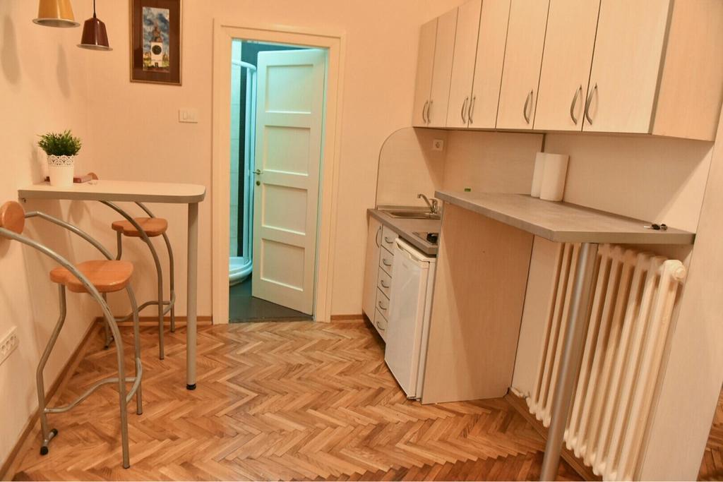 Bojan Central Apartment Novi Sad Bagian luar foto