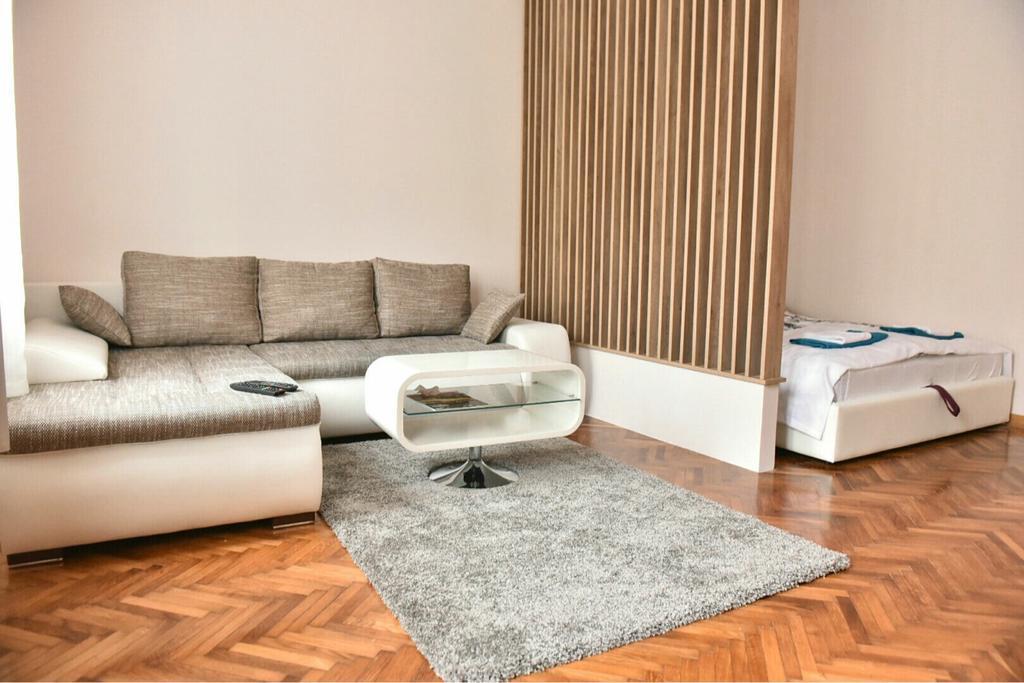 Bojan Central Apartment Novi Sad Bagian luar foto